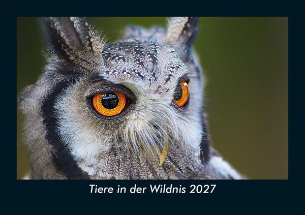 Produktbild: Tiere in der Wildnis 2027 Fotokalender DIN A5