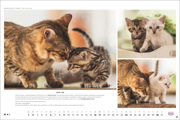 Produktbild: Whiskas Katzenkalender 2027