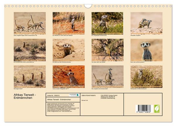 Produktbild: Afrikas Tierwelt - Erdm&auml;nnchen (Wandkalender 2026 DIN A3 quer), CALVENDO Monatskalender
