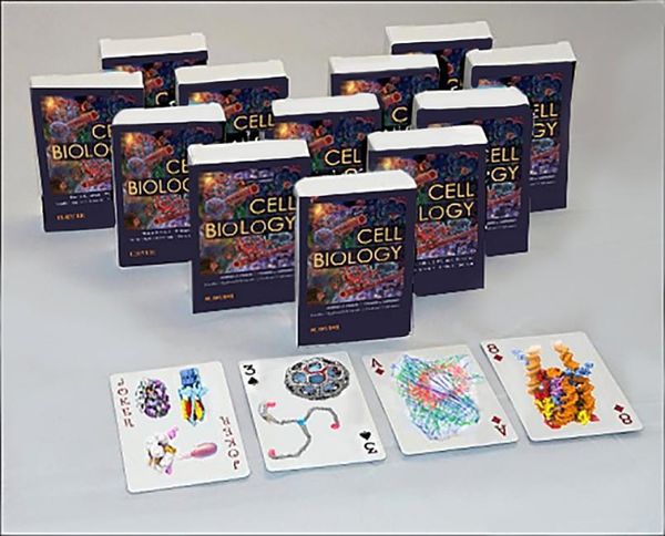 Produktbild: Cell Biology Playing Cards