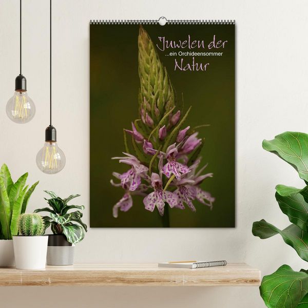 Produktbild: Juwelen der Natur - Ein Orchideensommer (Wandkalender 2026 DIN A2 hoch), CALVENDO Monatskalender
