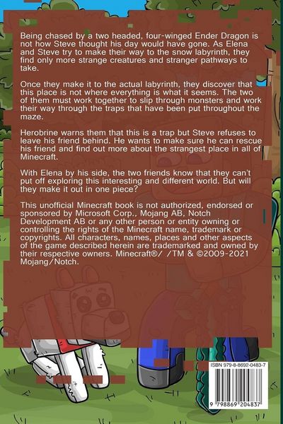 Produktbild: The Quest - The Snow Labyrinth Book 8