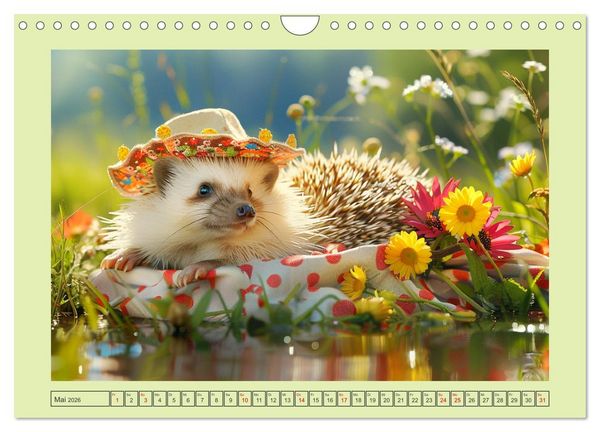 Produktbild: Zauberhafte Igel-Models. Blumiger Stil in der Natur (Wandkalender 2026 DIN A4 quer), CALVENDO Monatskalender