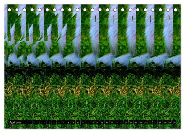 Produktbild: Magische Bilder - 3D Stereogramme (Tischkalender 2026 DIN A5 quer), CALVENDO Monatskalender