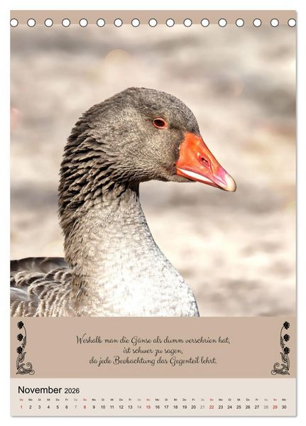 Produktbild: Buntes Tierleben (Tischkalender 2026 DIN A5 hoch), CALVENDO Monatskalender