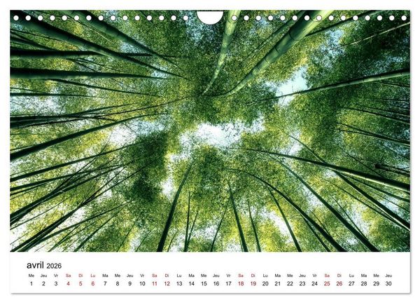Produktbild: Merveilleux Japon (Calendrier mural 2026 DIN A4 vertical), CALVENDO calendrier mensuel