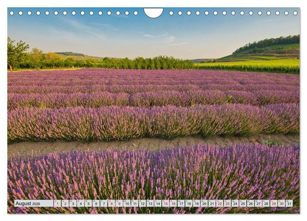 Produktbild: Weinregion Kaiserstuhl (Wandkalender 2026 DIN A4 quer), CALVENDO Monatskalender