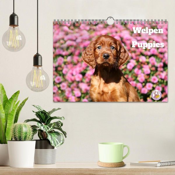 Produktbild: Welpen - Puppies (Wandkalender 2027 DIN A4 quer), CALVENDO Monatskalender