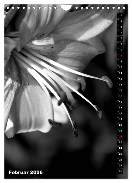 Produktbild: Blumige Graustufen - Schwarz und Wei&szlig; (Wandkalender 2026 DIN A4 hoch), CALVENDO Monatskalender
