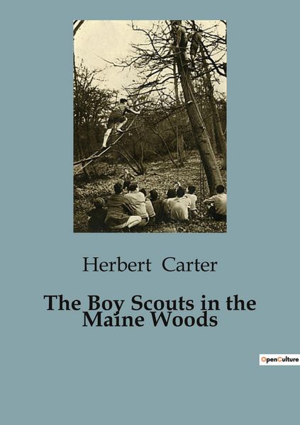 Produktbild: The Boy Scouts in the Maine Woods
