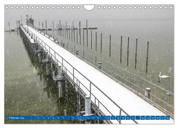 Produktbild: Drei L&auml;nder ein See - Bodensee (Wandkalender 2026 DIN A4 quer), CALVENDO Monatskalender