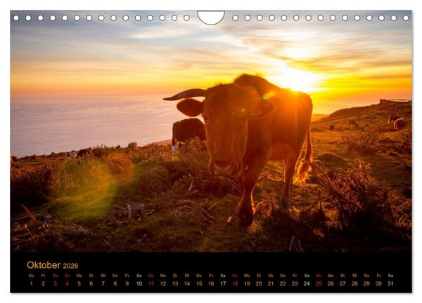 Produktbild: Madeira Impressionen (Wandkalender 2026 DIN A4 quer), CALVENDO Monatskalender