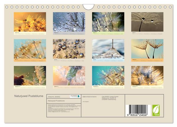Produktbild: Naturjuwel Pusteblume (Wandkalender 2026 DIN A4 quer), CALVENDO Monatskalender