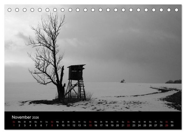 Produktbild: B&auml;ume trees 2026 (Tischkalender 2026 DIN A5 quer), CALVENDO Monatskalender