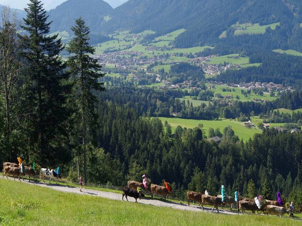 Produktbild: CALVENDO Puzzle Auf dem Weg durch das "S&ouml;lllandl" | 1000 Teile Lege-Gr&ouml;&szlig;e 64x48cm Foto-Puzzle f&uuml;r gl&uuml;ckliche Stunden