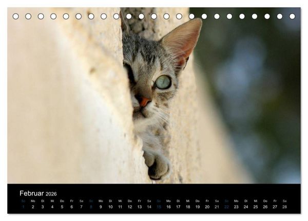 Produktbild: Katzensprung (Tischkalender 2026 DIN A5 quer), CALVENDO Monatskalender