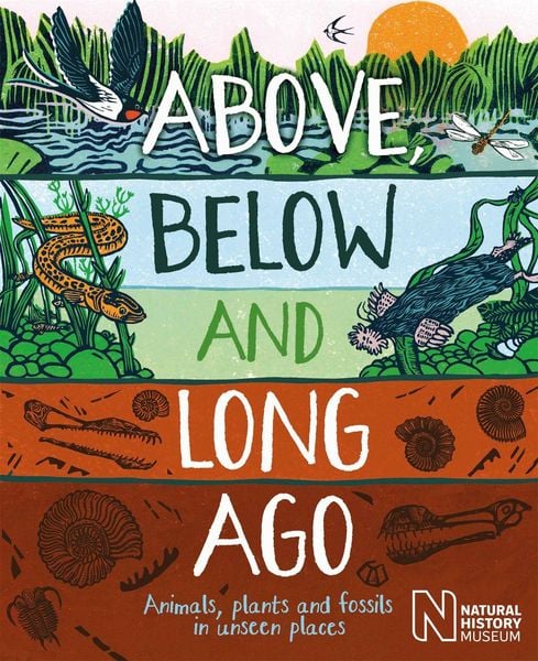 Produktbild: Above, Below and Long Ago