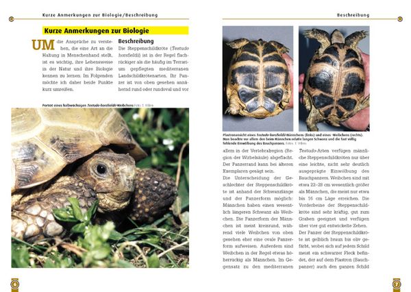 Produktbild: Die Steppenschildkr&ouml;te