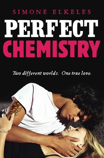 Cover of the book Perfect Chemistry