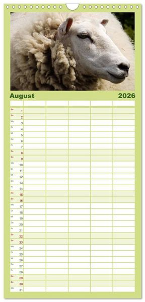 Produktbild: Familienplaner 2026 - Schafe mit 5 Spalten (Wandkalender, 21 x 45 cm) CALVENDO