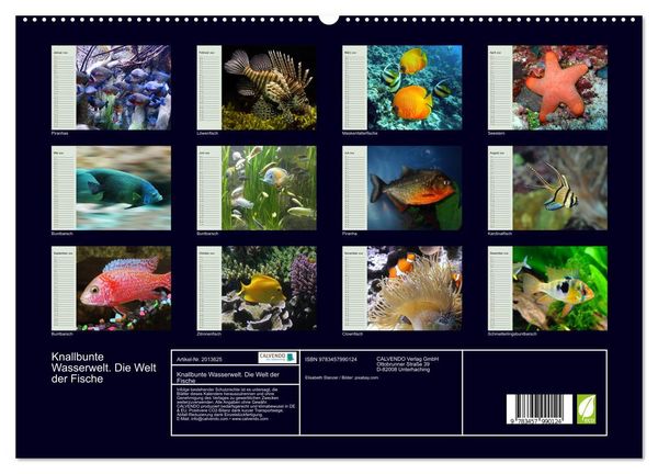 Produktbild: Knallbunte Wasserwelt. Die Welt der Fische (hochwertiger Premium Wandkalender 2026 DIN A2 quer), Kunstdruck in Hochglanz