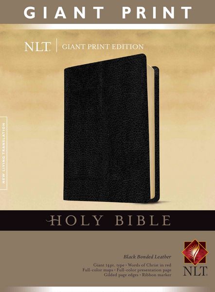 Produktbild: Giant Print Bible-NLT