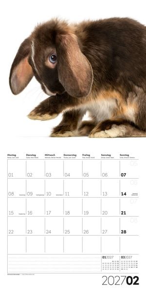 Produktbild: Animals Kalender 2027 - 30x30 - Art12