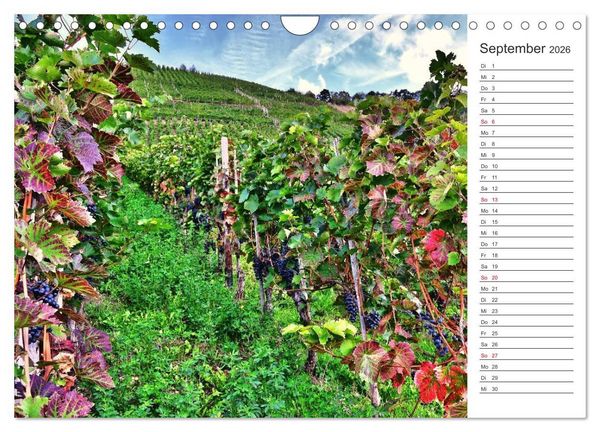 Produktbild: Bildsch&ouml;n - Die Mosel (Wandkalender 2026 DIN A4 quer), CALVENDO Monatskalender