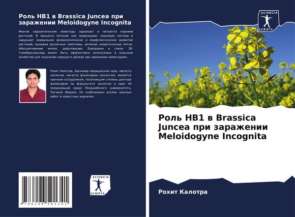 Produktbild: Rol' HB1 w Brassica Juncea pri zarazhenii Meloidogyne Incognita