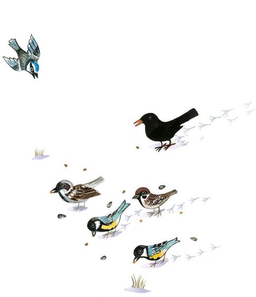 Produktbild: So ist der Winter