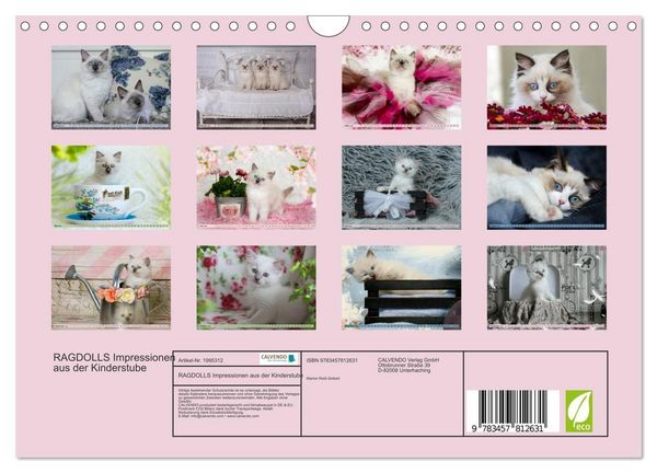 Produktbild: RAGDOLLS Impressionen aus der Kinderstube (Wandkalender 2026 DIN A4 quer), CALVENDO Monatskalender