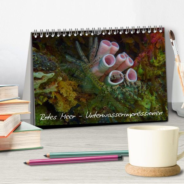 Produktbild: Rotes Meer - Unterwasserimpressionen (Tischkalender 2026 DIN A5 quer), CALVENDO Monatskalender