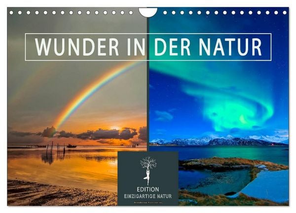 Wunder in der Natur (Wandkalender 2026 DIN A4 quer), CALVENDO Monatskalender