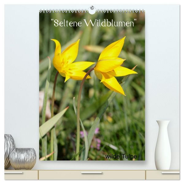 Produktbild: Seltene Wildblumen (hochwertiger Premium Wandkalender 2026 DIN A2 hoch), Kunstdruck in Hochglanz