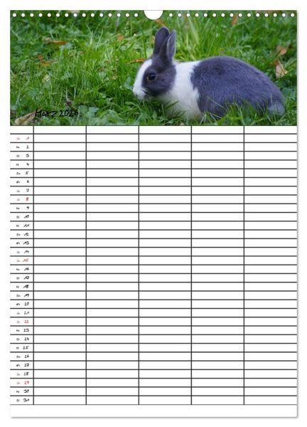 Produktbild: Meerschweinchen und Kaninchen Familienplaner (Wandkalender 2026 DIN A3 hoch), CALVENDO Monatskalender