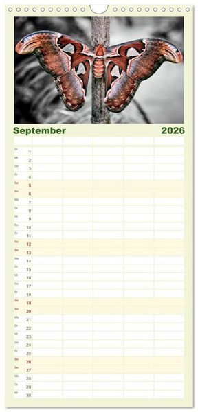 Produktbild: Familienplaner 2026 - Gefl&uuml;gelte Sch&ouml;nheiten der Tropen mit 5 Spalten (Wandkalender, 21 x 45 cm) CALVENDO