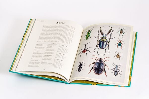 Produktbild: Das Museum der Insekten