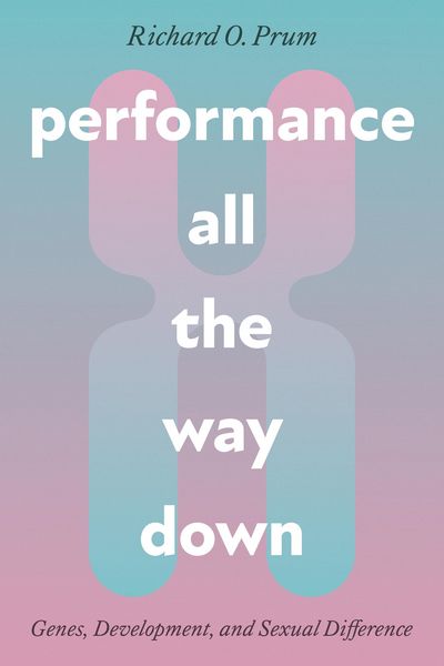 Produktbild: Performance All the Way Down