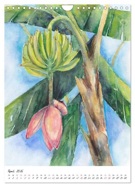 Produktbild: Bl&uuml;tenaquarelle (Wandkalender 2026 DIN A4 hoch), CALVENDO Monatskalender