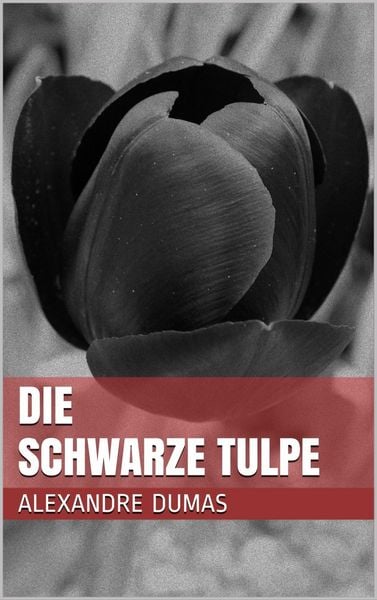 Produktbild: Die schwarze Tulpe