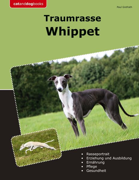 Produktbild: Traumrasse Whippet