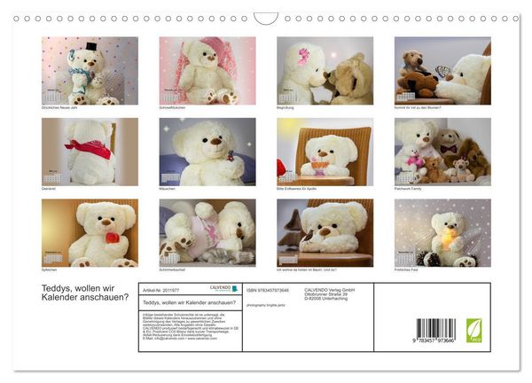 Produktbild: Teddys, wollen wir Kalender anschauen? (Wandkalender 2026 DIN A3 quer), CALVENDO Monatskalender