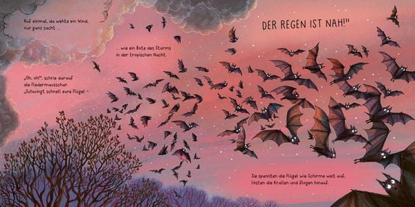 Produktbild: Flapp lernt fliegen