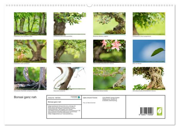 Produktbild: Bonsai ganz nah (hochwertiger Premium Wandkalender 2026 DIN A2 quer), Kunstdruck in Hochglanz