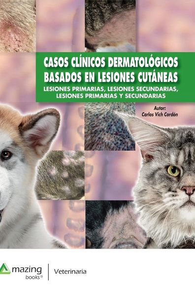 Produktbild: Casos Cl&iacute;nicos Dermatol&oacute;gicos Basados En Lesiones Cut&aacute;neas