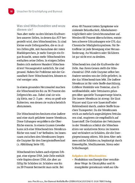 Produktbild: Der Burnout-Notfallkoffer