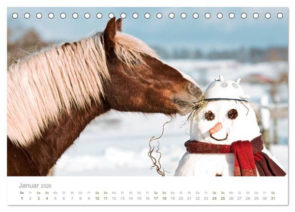 Produktbild: Faszination Schwarzw&auml;lder Kaltblut (Tischkalender 2026 DIN A5 quer), CALVENDO Monatskalender