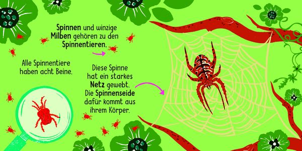 50 Wörter über die Natur - Insekten