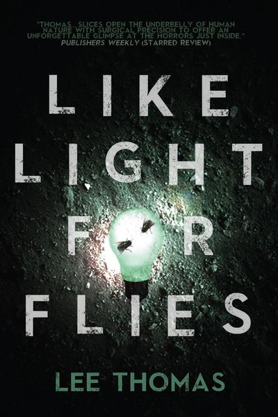 Produktbild: Like Light for Flies