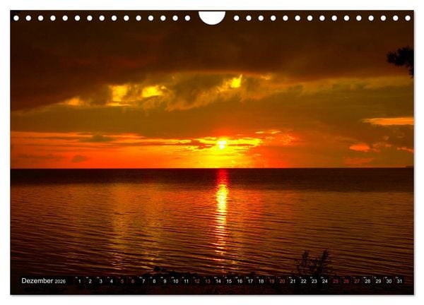Produktbild: Bezauberndes Estland (Wandkalender 2026 DIN A4 quer), CALVENDO Monatskalender